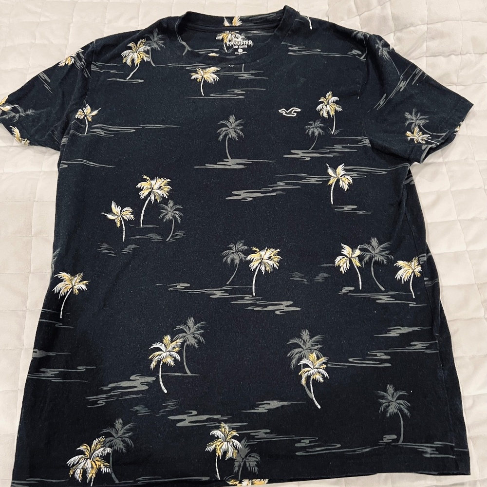 Hollister Men’s T-shirt